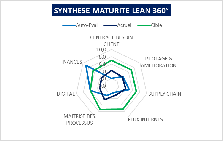 synthese maturite lean 360 visuel