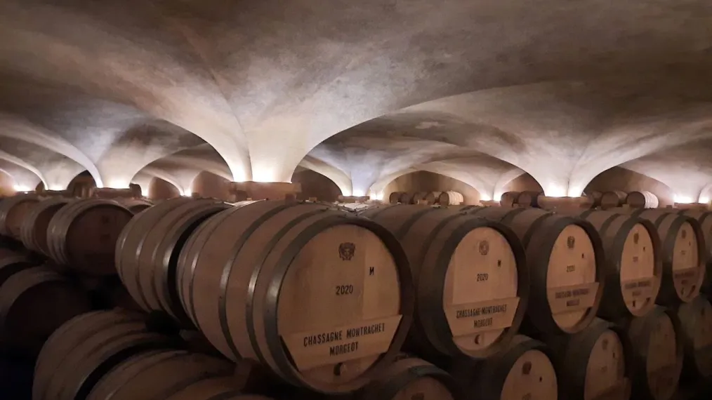 louis jadot