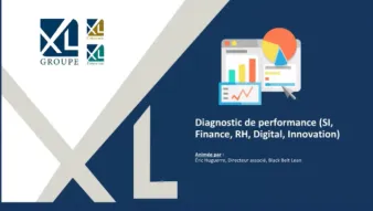 Diagnostic de performance (SI, Finance, RH, Digital, Innovation)