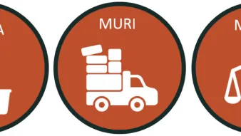 La-maîtrise-de-la-variabilité-dans-les-démarches-Lean-Management