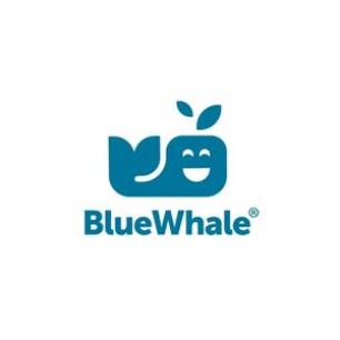 Démarche de transformation Supply Chain et digitalisation chez BlueWhale
